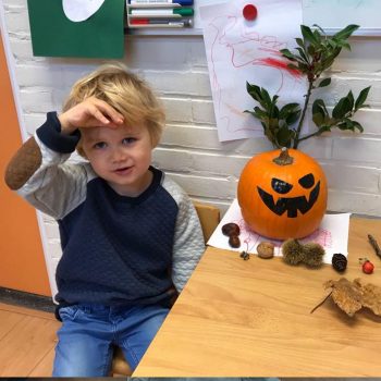 De tovertuin Dongen Natuurlijke kinderopvang