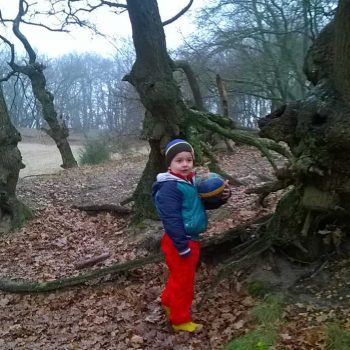 In de bergen De tovertuin Dongen