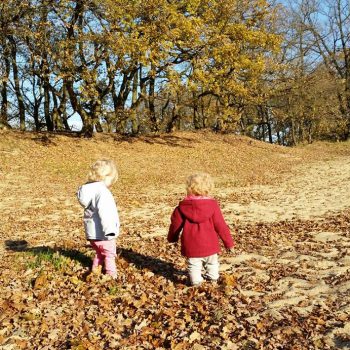 De tovertuin Dongen Natuurlijke kinderopvang