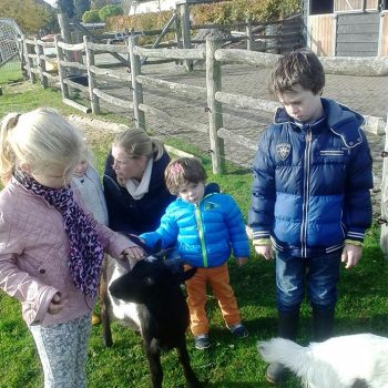 De tovertuin Dongen Natuurlijke kinderopvang