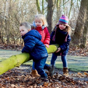 De tovertuin Dongen