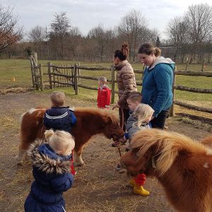 De tovertuin Dongen